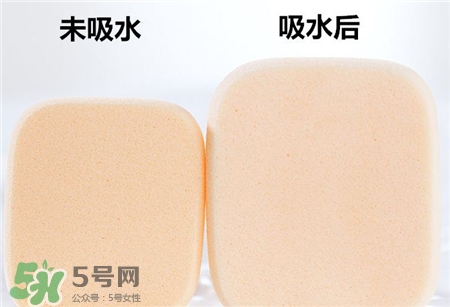 rosy rosa����������ô��?rosy rosa���������÷�